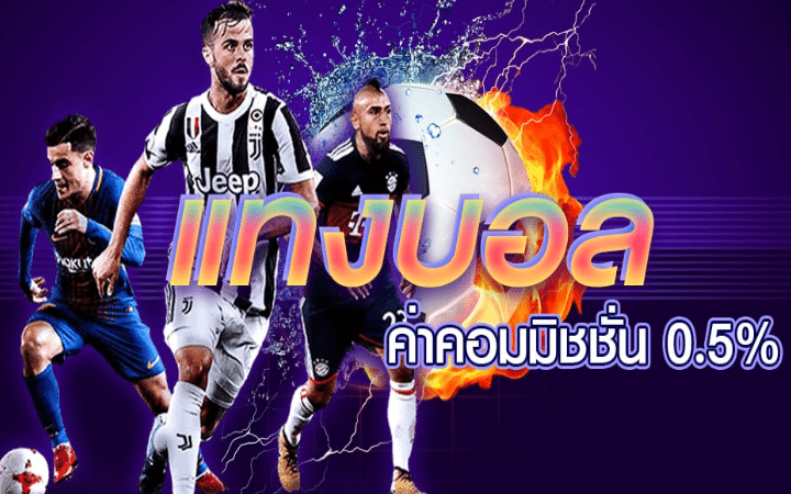 เว็บแทงบอล