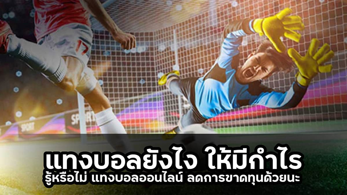 เว็บพนันบอล 2022